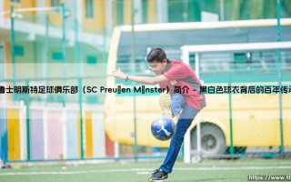普鲁士明斯特足球俱乐部：SC Preußen Münster - 一支百年老队的传奇故事