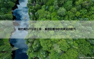 姆巴佩为什么这么快？揭秘「法国闪电」的极速密码：他究竟如何练就无解爆发力？