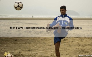 托夫丁效力于哥本哈根时期的队友都有哪些_绿茵前线