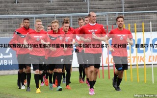 在中超联赛效力过的厄瓜多尔球星大盘点