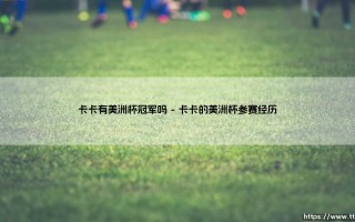 卡卡有美洲杯冠军吗？揭秘巴西王子的国家队荣誉簿
