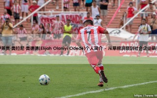 伊莱贾·奥拉尼·奥德德(Elijah Olaniyi Odede)个人简介——地上足球