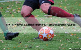 2018-2019赛季英乙联赛最终积分榜排名【远方的球门】