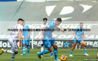 内马尼亚·古德利曾经在哪些中超球队效力过？