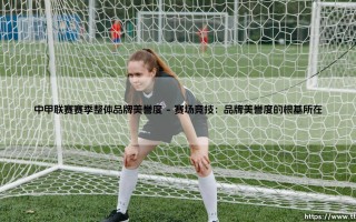中甲联赛的品牌魅力，究竟几何？「中甲联赛赛季整体品牌美誉度」的深度透视
