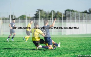 奥巴梅扬法甲金靴之谜：他究竟获得过几次法甲金靴？
