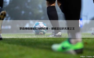罗森博格：挪威足球的王者与欧协联的新征程