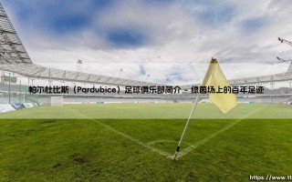 帕尔杜比斯足球俱乐部简介