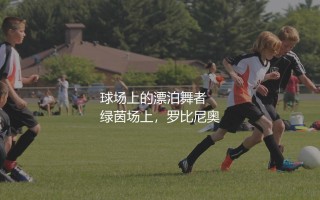 罗比尼奥效力过哪些球队？绿茵场上的漂泊舞者