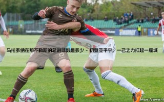 马拉多纳在那不勒斯的总进球数是多少？球王传奇：那不勒斯七载的永恒数字