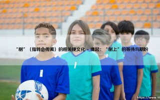 “树”与转会传闻：足球迷的夏日限定文化