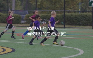 斯洛文尼亚队参加过几次欧洲杯？绿茵场上的流星