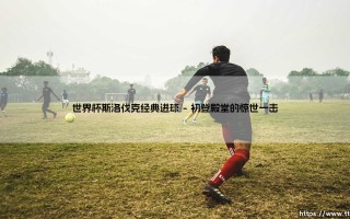 世界杯斯洛伐克经典进球：绿茵传奇的永恒瞬间与荣耀回响