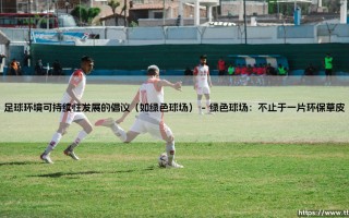 足球的绿色未来：如何实现球场内外的可持续发展？- 探索「绿色球场」倡议的深远意义