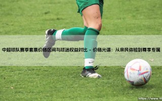 中超球队赛季套票价格区间与球迷权益对比：一场关于忠诚与回馈的深度对话