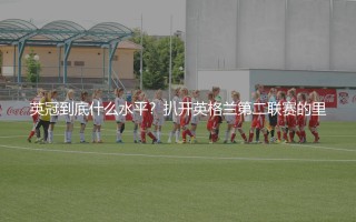 英冠到底什么水平？扒开英格兰第二联赛的里子