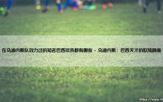 在乌迪内斯队效力过的知名巴西球员都有哪些？