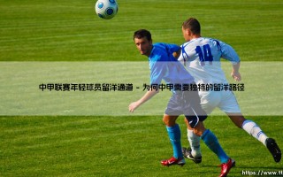 中甲联赛年轻球员留洋通道：梦想的桥梁与现实的挑战