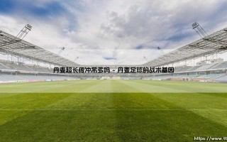 丹麦超长传冲吊多吗？——「北欧童话」的战术之谜