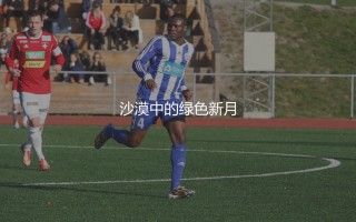 希拉尔球队又叫什么队？沙漠中的绿色新月
