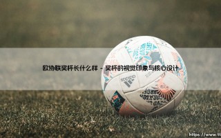 欧协联奖杯长什么样？带你走近这座欧洲足坛新荣耀