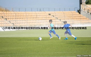 中超升班马奇迹：那些以黑马姿态问鼎中超冠军的传奇球队
