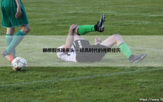 赫根教练啥来头-足坛风向标