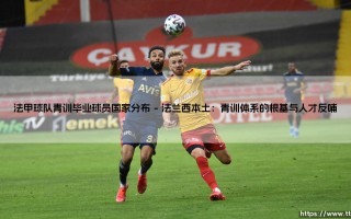 法甲球队青训毕业球员国家分布探秘