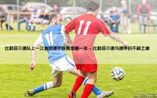 比勒菲尔德队上一次参加德甲联赛是哪一年？这支老牌球队的浮沉录
