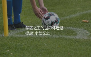 范尼斯特鲁伊在世界杯上打进了多少球？禁区之王的世界杯遗憾