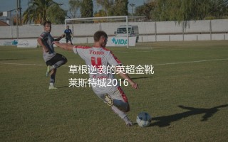 瓦尔迪什么水平？草根逆袭的英超金靴