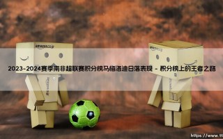2023-2024赛季南非超联赛积分榜与马梅洛迪日落的表现透视