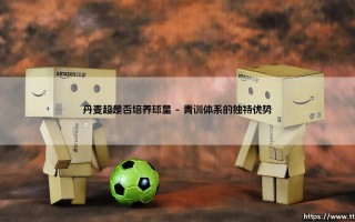 丹麦超级联赛是否培养球星：北欧足坛的球星摇篮探秘