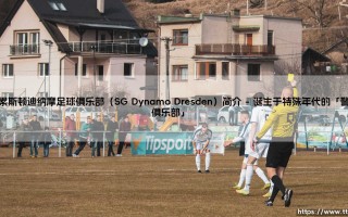 德累斯顿迪纳摩足球俱乐部：一支怎样的球队？「SG Dynamo Dresden」的前世今生