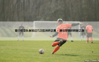 爱沙尼亚队参加过几次欧洲杯正赛？