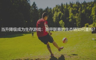 英甲升降级规则（当升降级成为生存游戏）