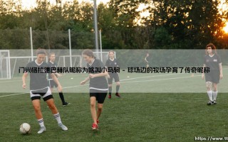 门兴格拉德巴赫队昵称为啥叫小马驹？「小马驹」的由来背后藏着什么故事？