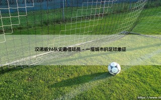 汉诺威96队史最佳球员？探寻「下萨克森之狮」的传奇灵魂