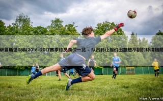 萨普斯堡08队2016-2017赛季球员身价一览-绿茵上的诗人