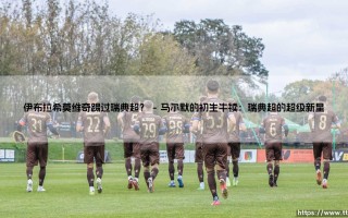 伊布拉希莫维奇踢过瑞典超吗？揭秘神塔的北欧起点
