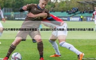 沃伦丹赛季表现数据深度复盘(绿茵速报)