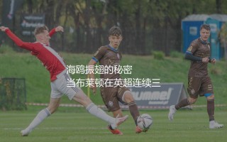 布莱顿为什么这么强：海鸥振翅的秘密