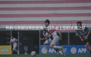 热刺拿过英超冠军吗？白鹿巷上空的未竟之梦