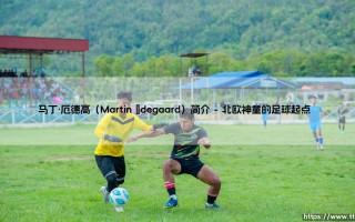 马丁·厄德高是谁？挪威天才中场：从神童到阿森纳领袖的蜕变之路