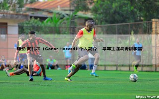 康纳·阿扎尔（Conor Hazard）个人简介——天体足球