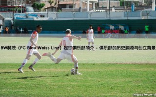 BW林茨足球俱乐部简介：奥地利足坛的蓝白传奇 BW林茨足球俱乐部简介