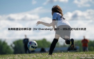 埃弗斯堡足球俱乐部（SV Elversberg）简介——每日足球