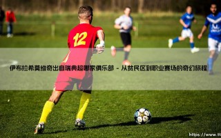 伊布拉希莫维奇出自瑞典超哪家俱乐部？揭秘「瑞典神塔」的足球起点：马尔默FF