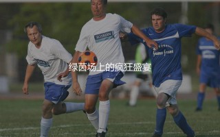 德甲单赛季进球最多的球队？日耳曼顶级联赛绿茵场上的疯狂盛宴
