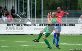 弗里克在瑞超有过执教经历吗？深入探究其欧洲足迹